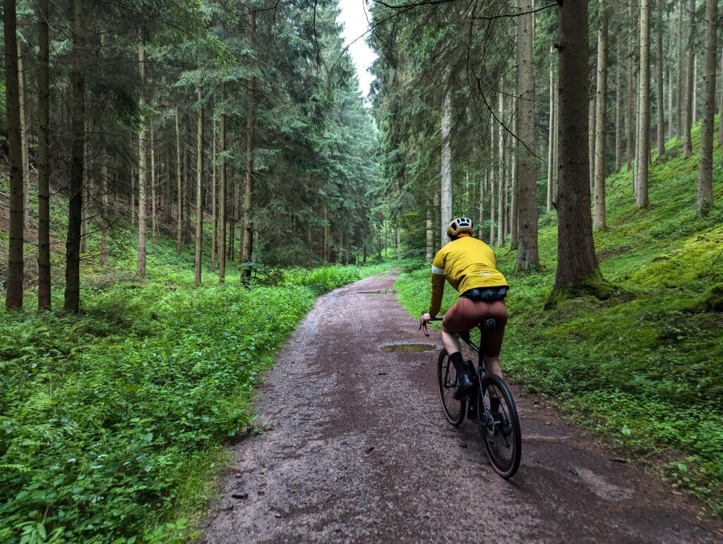dirty-forrest-gravel-in-the-palatinate-forrest-germany-v0-gzx2j0wggb9d1